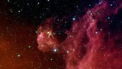 Гороскоп на 24 августа 2024 года: здоровье Дев и отдых Раков