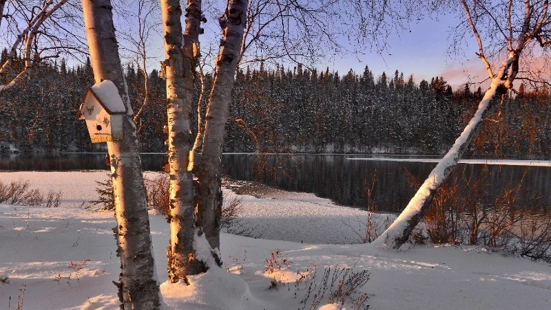 Народные приметы на 4 февраля 2024 года — что нельзя делать в этот день