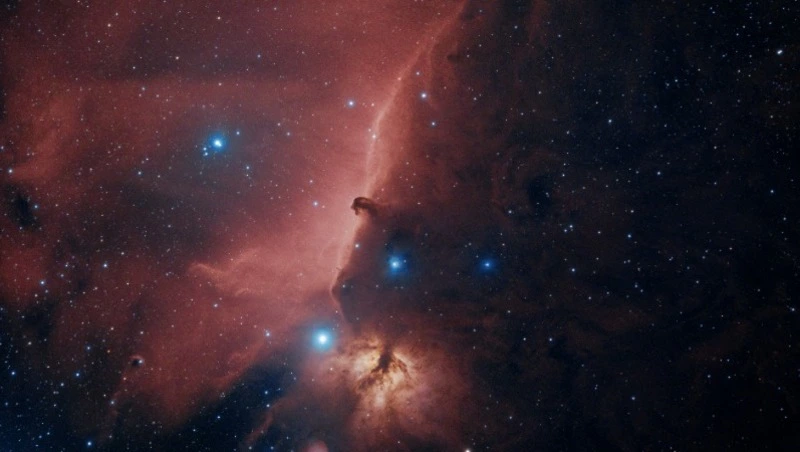 Каким знакам зодиака удастся разбогатеть в феврале 2024 года