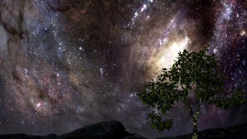 Гороскоп на 7 января 2024 года: важные советы астрологов