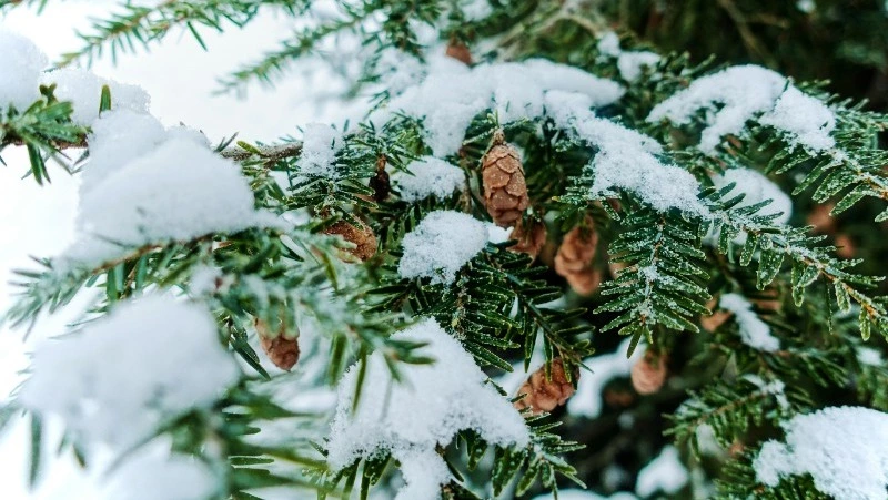 Церковный праздник 12 февраля 2024 года: что нельзя делать в этот день