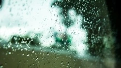 Прогноз погоды в Сахалинской области на 21 июня: умеренный дождь и ветер