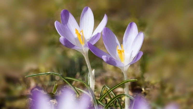 5 марта 2024 года: какой сегодня праздник?