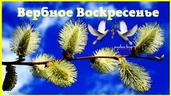 Красивые картинки и открытки с Вербным воскресеньем 2024 