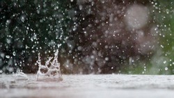 Небольшие и умеренные осадки пройдут в Сахалинской области 24 июля