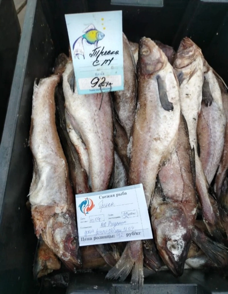 Сегодня на ярмарке!