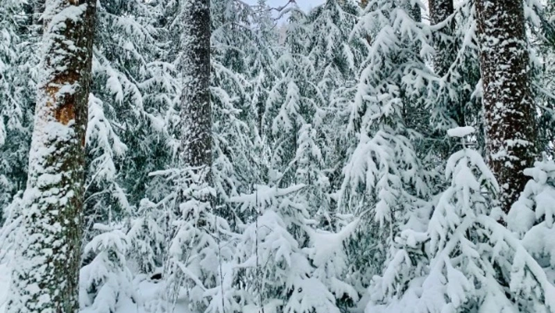 Церковный праздник 26 января 2024 года: что нельзя делать в этот день