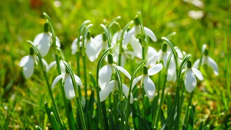 Народные приметы на 14 апреля 2024 года — что нельзя делать в этот день