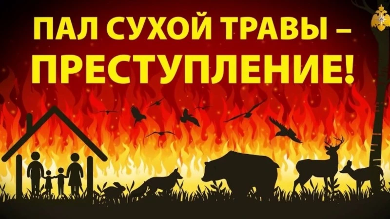  «ПАЛЫ СУХОЙ ТРАВЫ И ЧЕМ ОНИ ОПАСНЫ!»