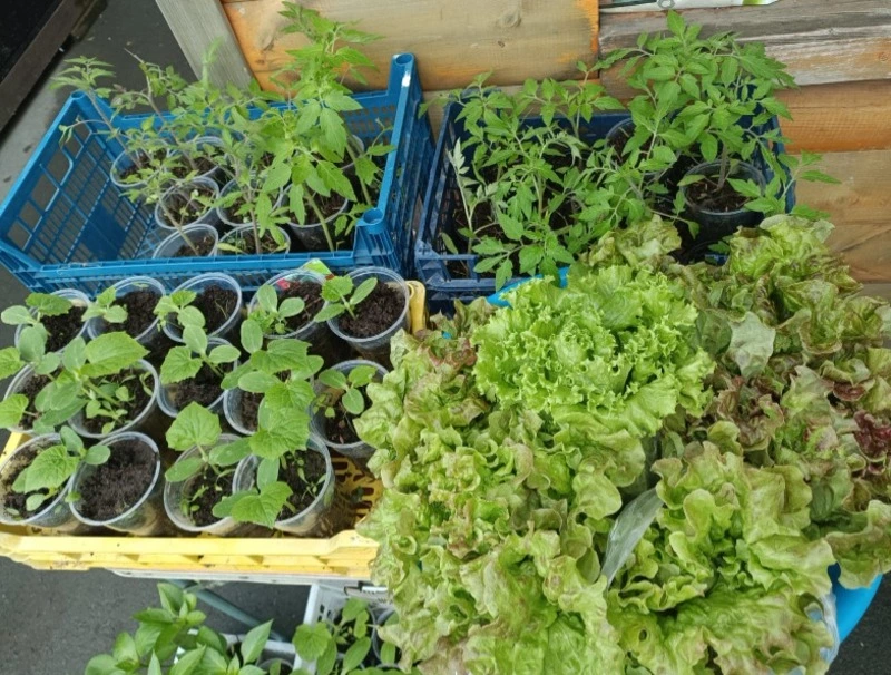 Сегодня на ярмарке!