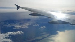 Сервис «Лист ожидания» на Сахалине за неделю принял более 100 обращений