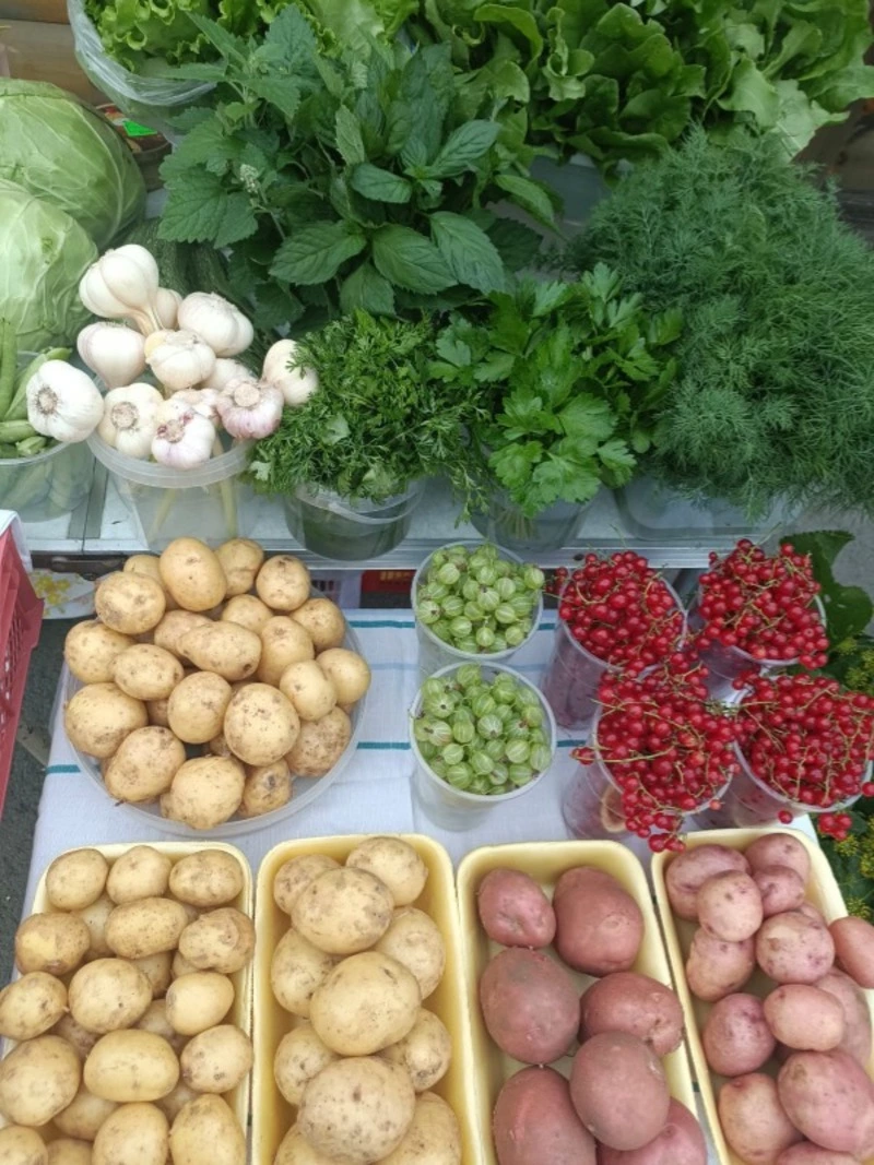 Сегодня на ярмарке!