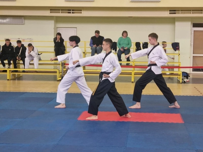 23 апреля в спорткомплексе г. Невельска прошли соревнования по тхэквондо