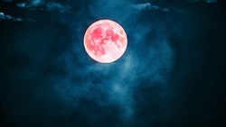 Три знака зодиака ощутят перемены: что готовит новолуние 10 февраля