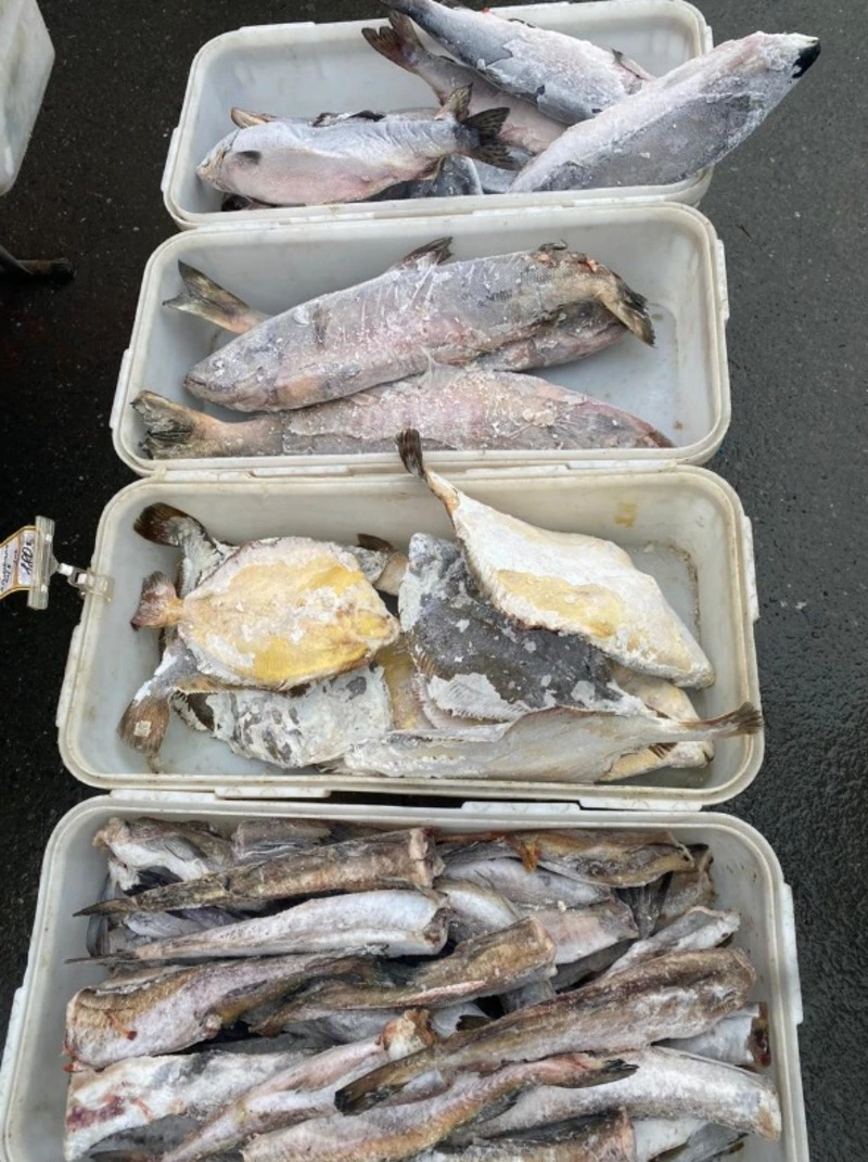 Сегодня на ярмарке!