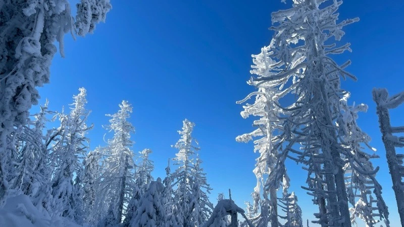 Народные приметы на 13 февраля 2024 года — что нельзя делать в этот день