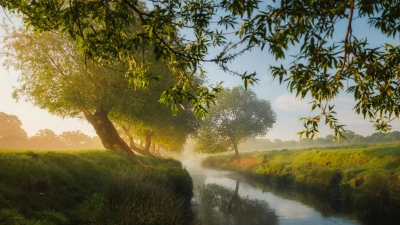 21 марта 2024 года: какой сегодня праздник?