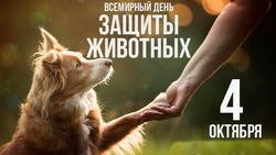 Всемирный день защиты животных 2024: красивые открытки