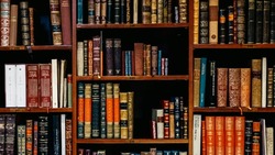 День библиотекаря 2024: история, поздравительные картинки
