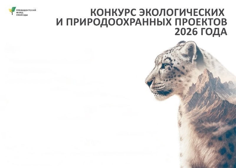 Президентский фонд природы объявил конкурс экологических проектов