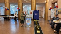 Политолог: первый день голосования на Сахалине прошел спокойно и без происшествий