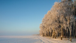 Народные приметы на 31 декабря 2023 года — что нельзя делать в этот день
