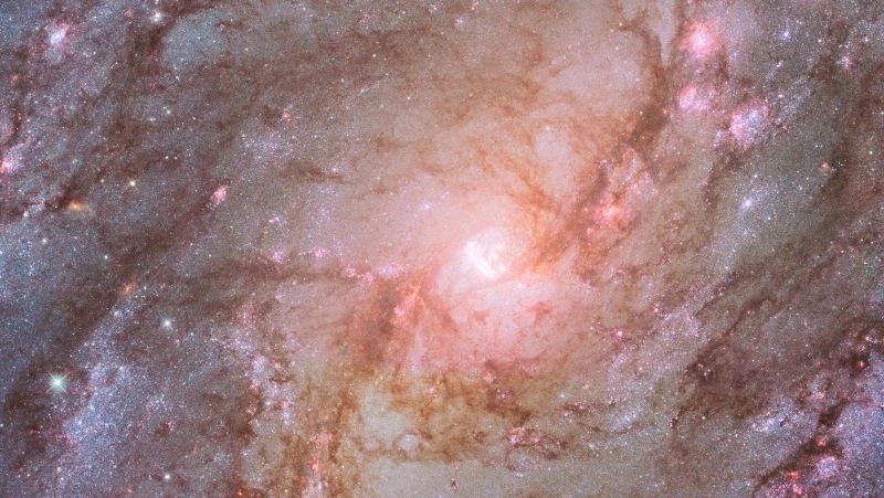 Осторожность Тельцов и рассудительность Близнецов: гороскоп на 21 июня 2024 года