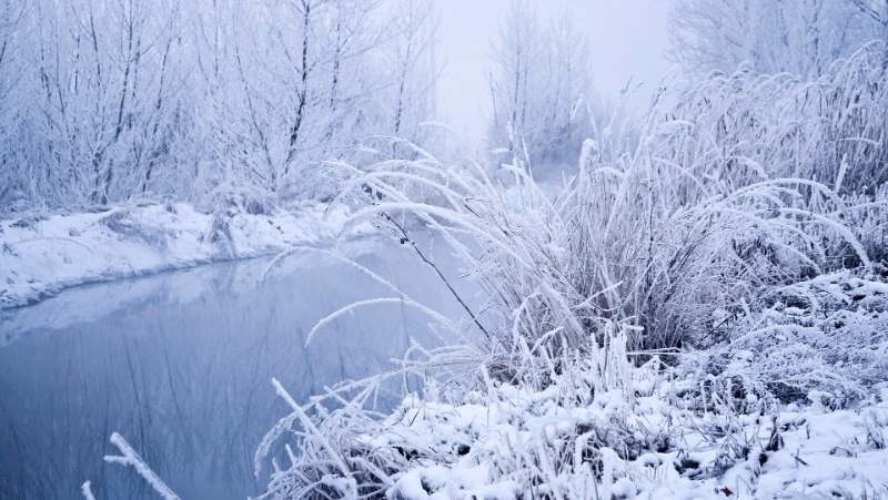 Церковный праздник 12 января 2024 года: что нельзя делать в этот день