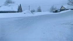Метель и сильный ветер: прогноз погоды в Сахалинской области на 26 января