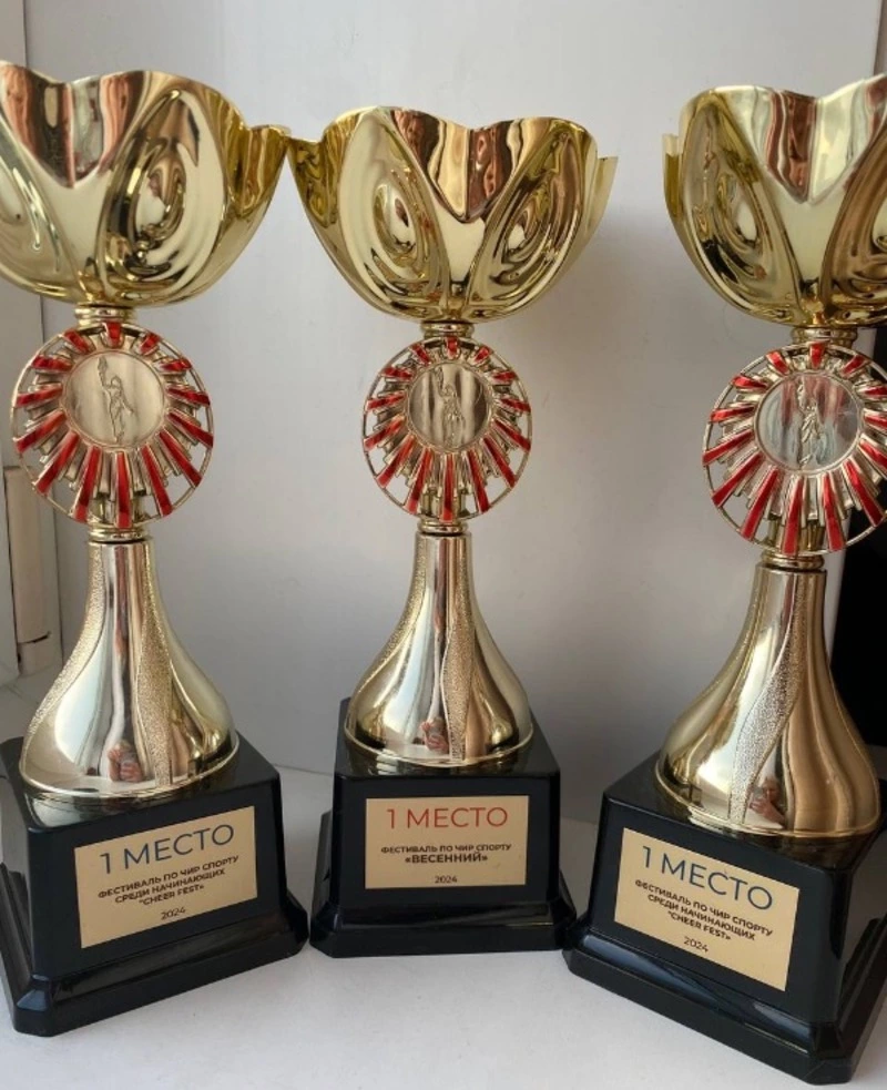 ВСЕРОССИЙСКИЕ СОРЕВНОВАНИЯ ПО ЧИР СПОРТУ. ФЕСТИВАЛЬ «ВЕСЕННИЙ»