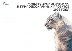 Президентский фонд природы объявил конкурс экологических проектов