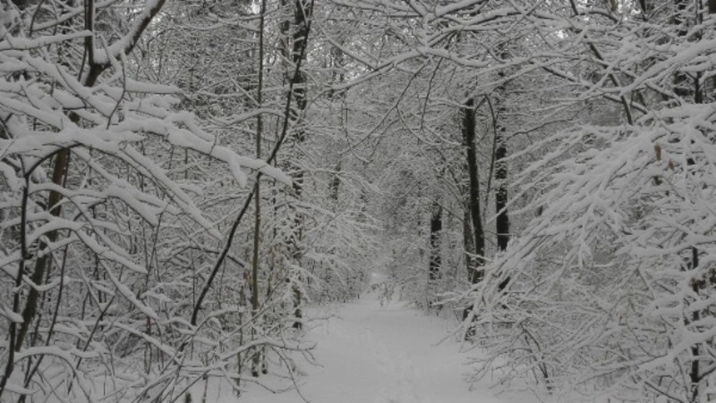 Народные приметы на 5 февраля 2024 года — что нельзя делать в этот день