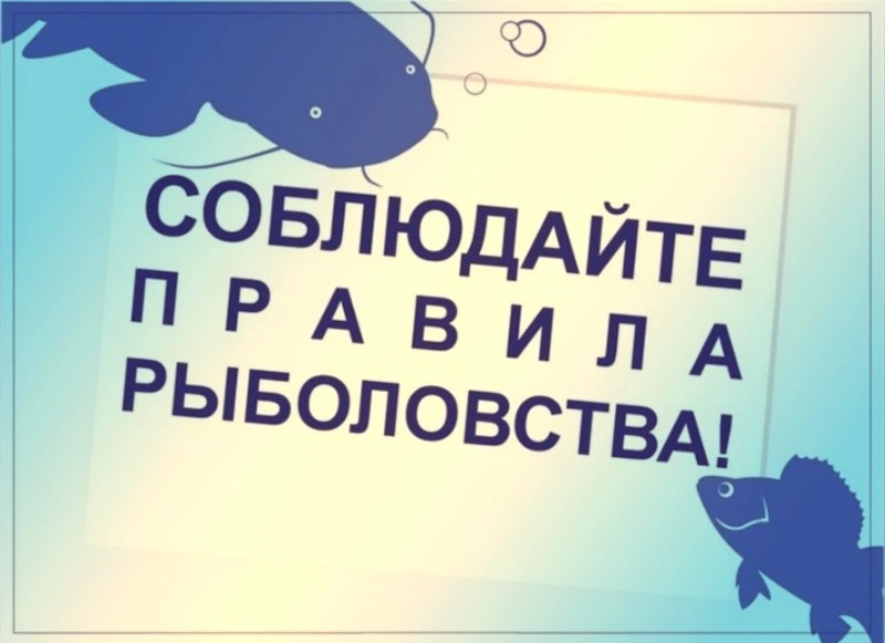 Защита водных богатств: результаты борьбы с незаконной добычей в районе