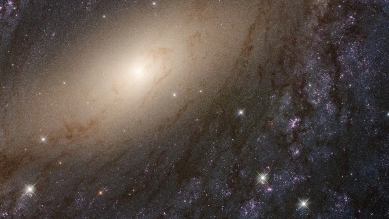 Гороскоп на 17 февраля 2024 года: важные советы астрологов