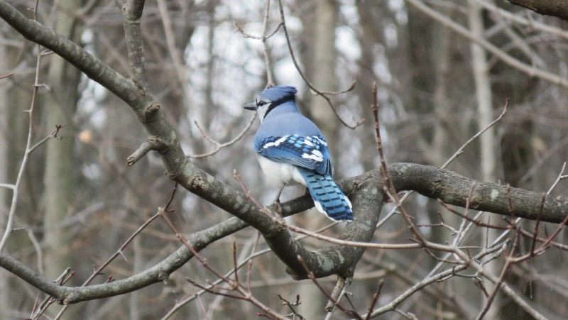 Народные приметы на 11 декабря 2023 года — что нельзя делать в этот день
