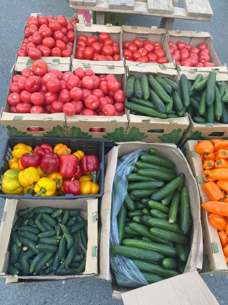 Сегодня на ярмарке!