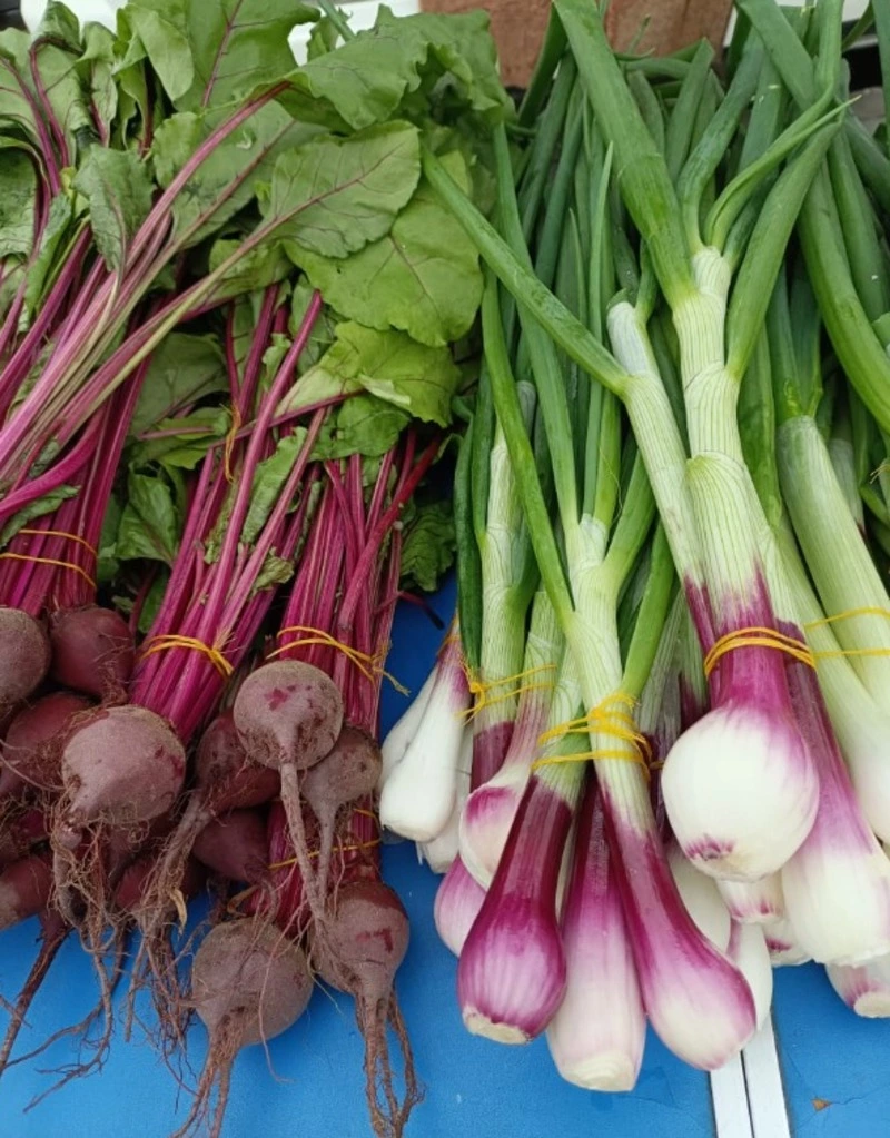 Сегодня на ярмарке!