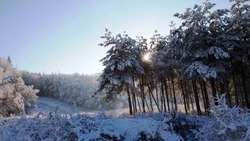 Мороз и ветер ожидаются в Сахалинской области 6 февраля