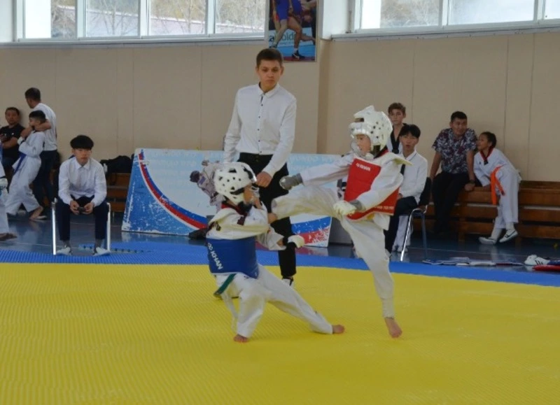 В областном центре прошли соревнования по тхэквондо.