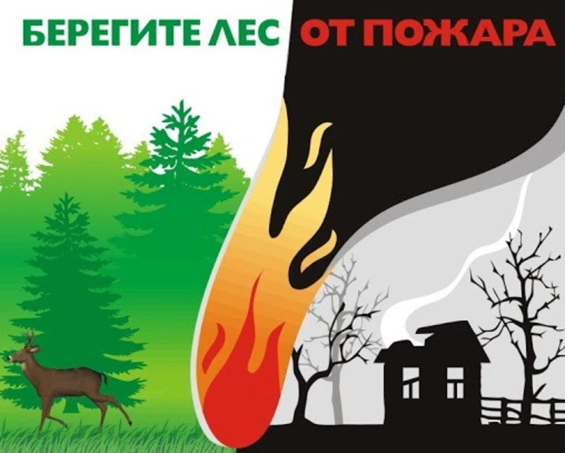СОБЛЮДАЙТЕ ТРЕБОВАНИЯ ПРАВИЛ ПОЖАРНОЙ БЕЗОПАСНОСТИ  В ЛЕСАХ!