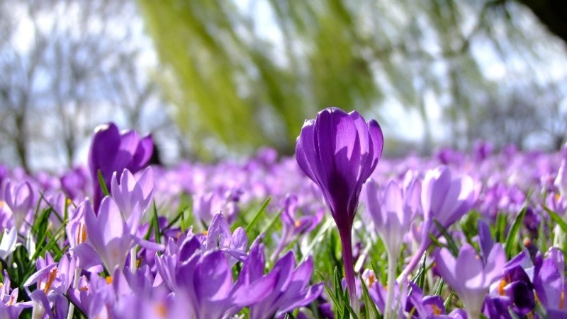 12 марта 2024 года: какой сегодня праздник?