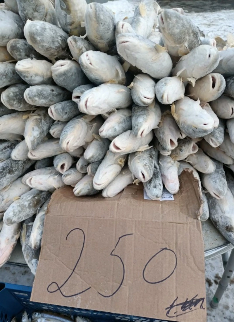 Сегодня на ярмарке!