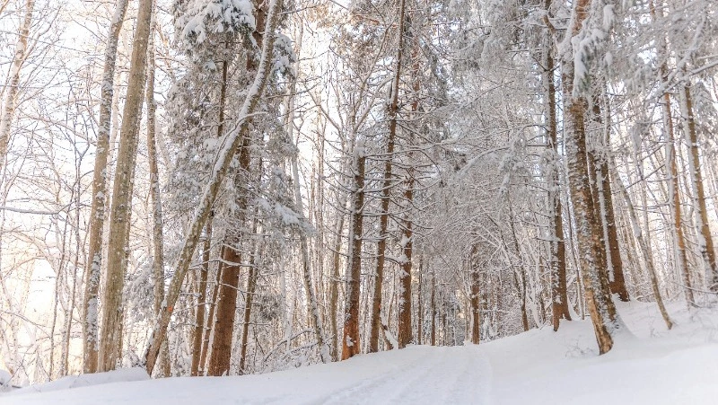 Церковный праздник 2 февраля 2024 года: что нельзя делать в этот день