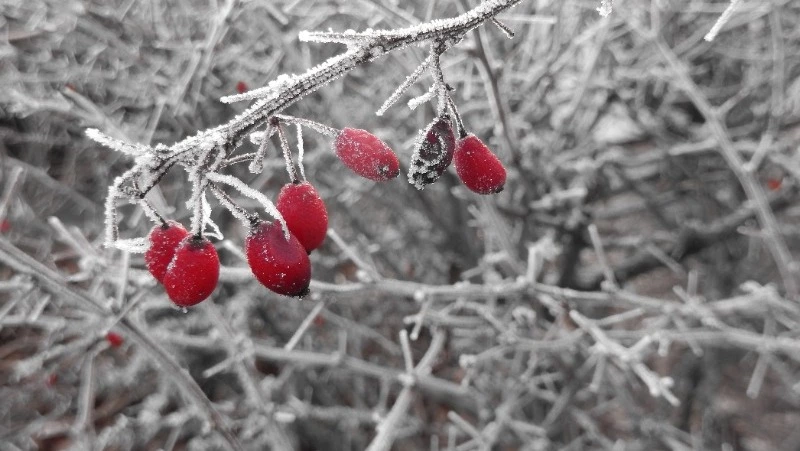 Церковный праздник 1 февраля 2024 года: что нельзя делать в этот день