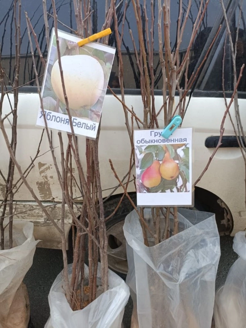 Сегодня на ярмарке!