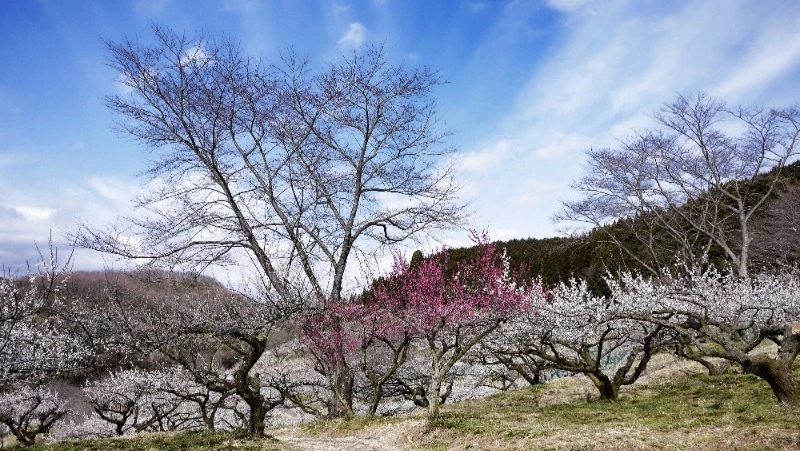 Народные приметы на 17 марта 2024 года — что нельзя делать в этот день