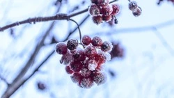Гадание по картинке на март 2024 года: кого ждет любовь