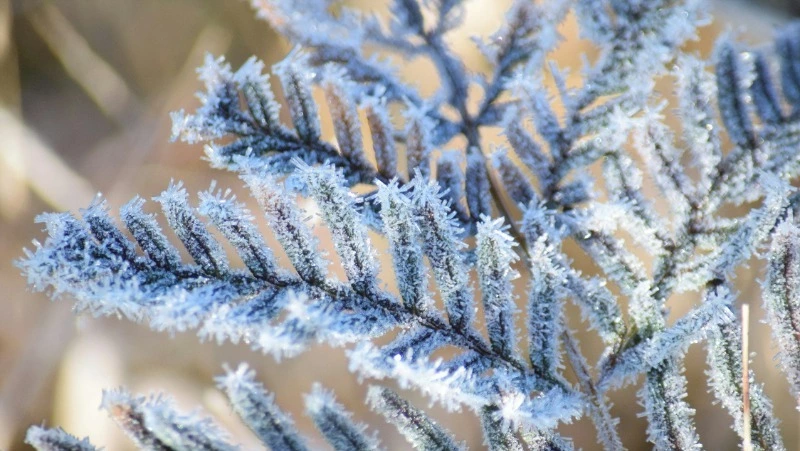 Церковный праздник 25 января 2024 года: что нельзя делать в этот день