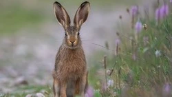 Народные приметы на 10 апреля 2024 года — что нельзя делать в этот день