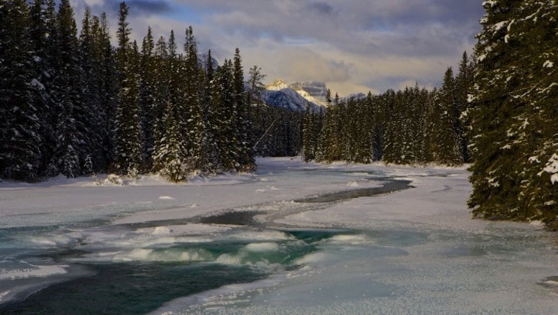 Церковный праздник 11 января 2024 года: что нельзя делать в этот день